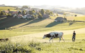 Emmentaler AOP Landschaft im Emmental